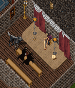 音楽会にいきました