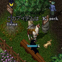 ラマはアイテムらしいです