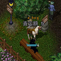 革の袋のお値段その3