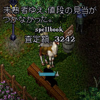 普通のスペルブックのほうが高いんだ…